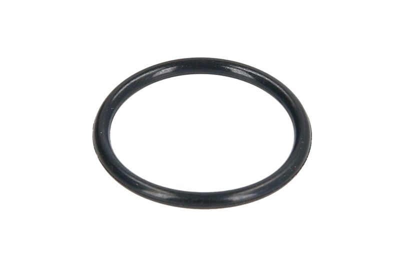 GOMICE E DIZNEVE O-RING 16.2x1.5 -G6